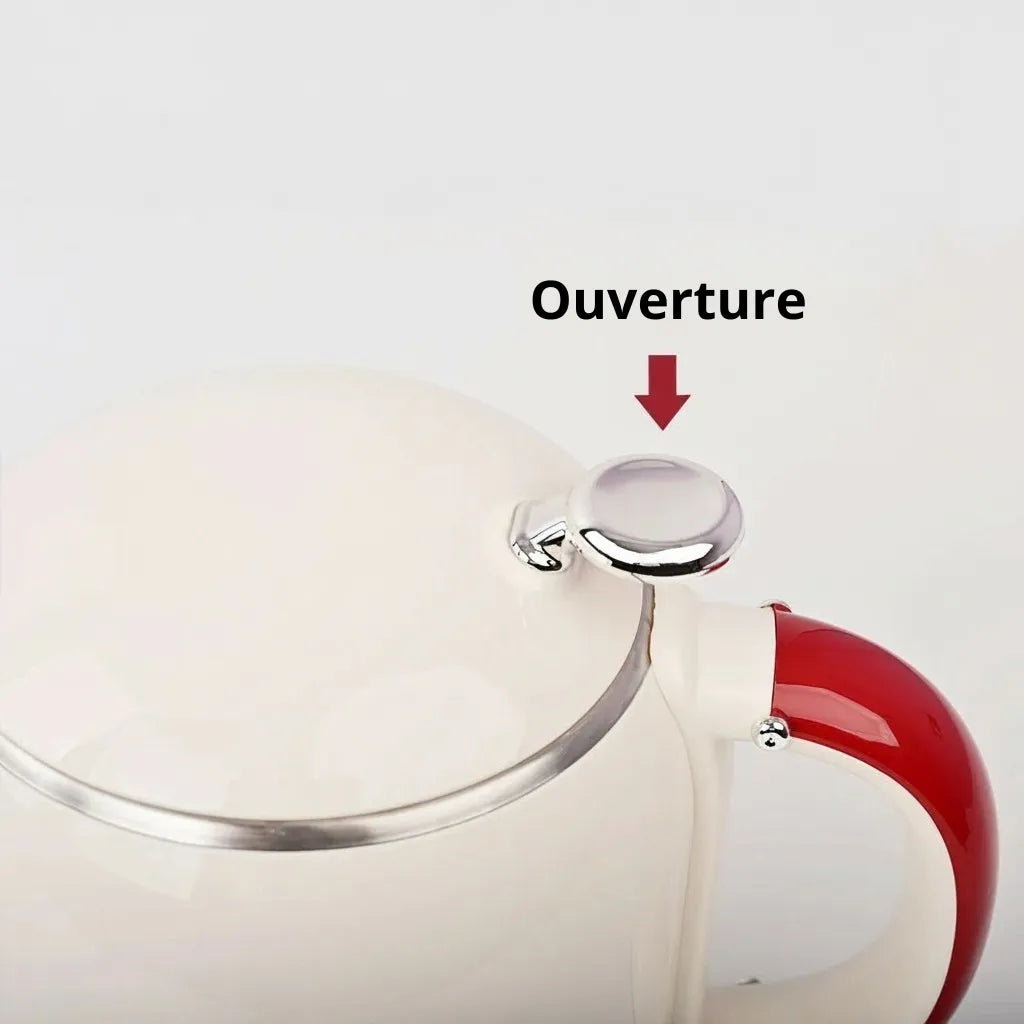 Bouilloire Électrique Design 1L